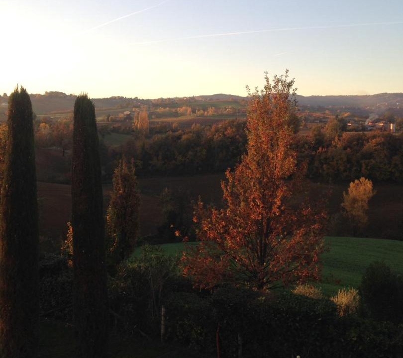 Photo of Others in Castelvetro di Modena