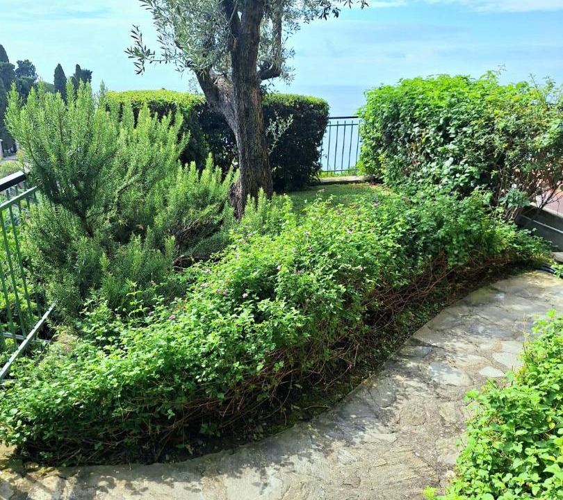 Photo of Others in Recco