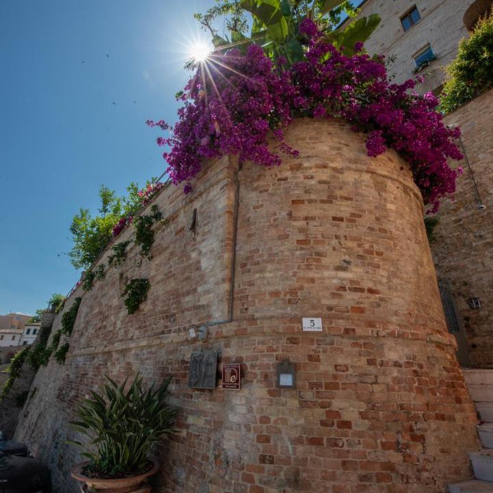 Photo of Others in Grottammare