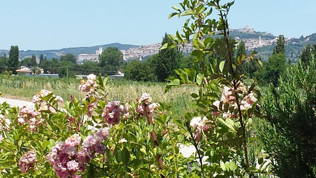 Photo of Others in Casenuove