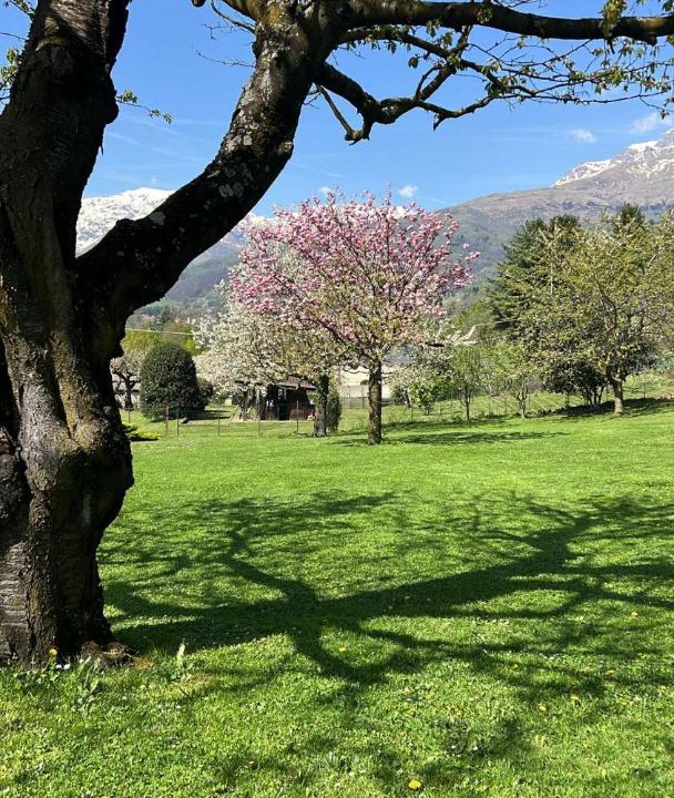 Photo of Others in Biella