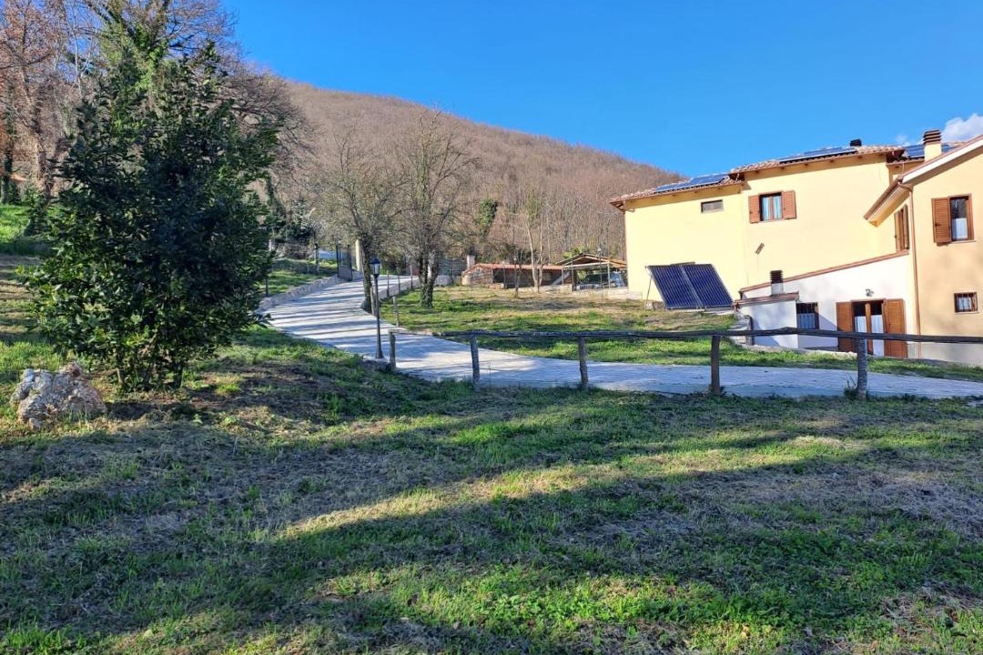 Photo of Others in Greccio
