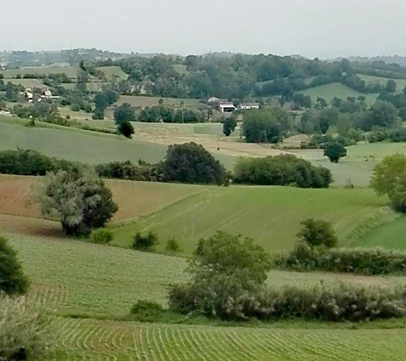 Photo of Others in Castelletto Monferrato