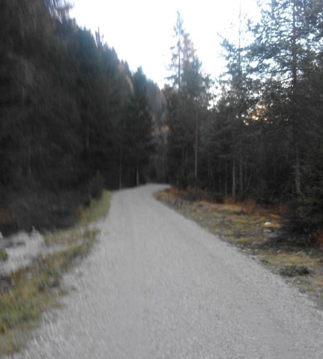 Photo of Others in Auronzo di Cadore