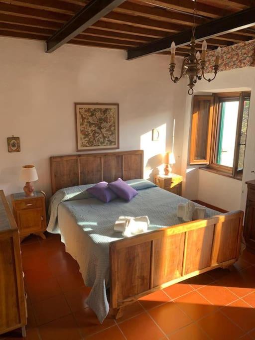 Photo of Others in Pieve Fosciana
