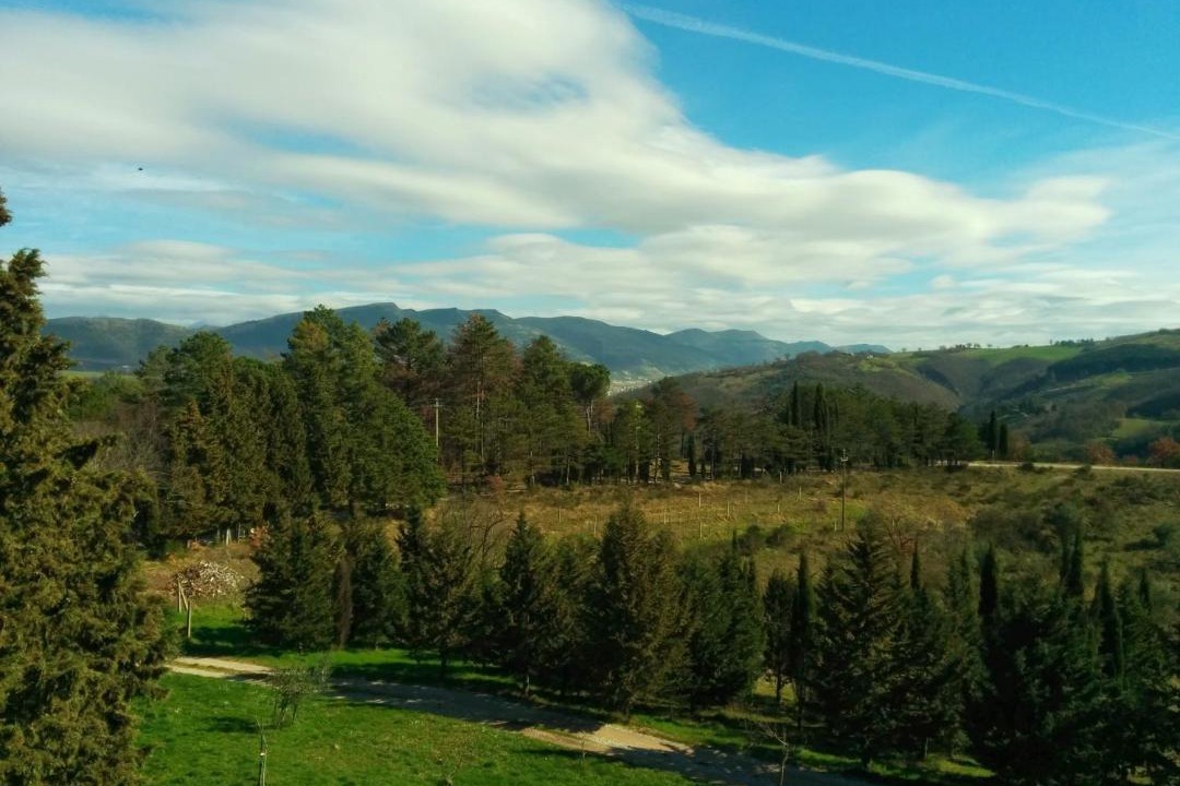 Photo of Others in Nerbisci