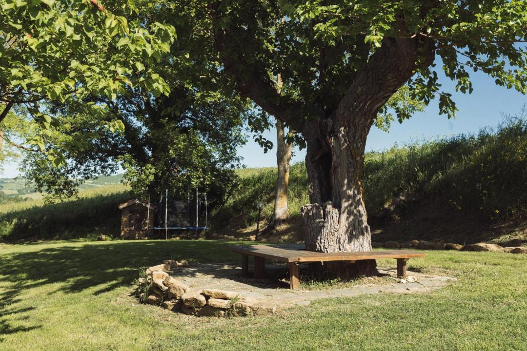Photo of Others in Pergola