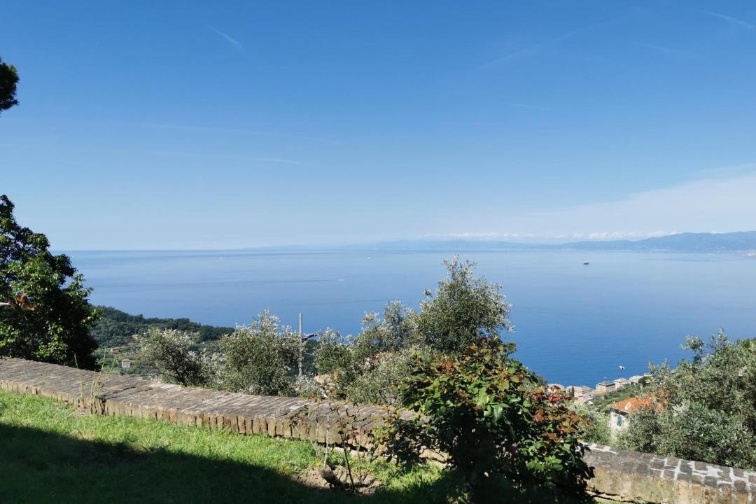 Photo of Others in Recco