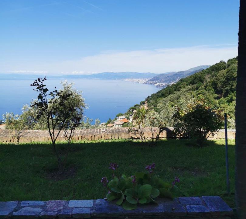 Photo of Others in Recco