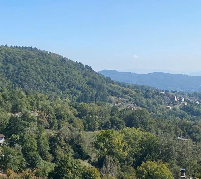 Photo of Others in San Romano in Garfagnana