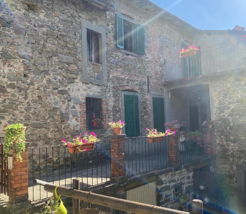Photo of Others in San Romano in Garfagnana