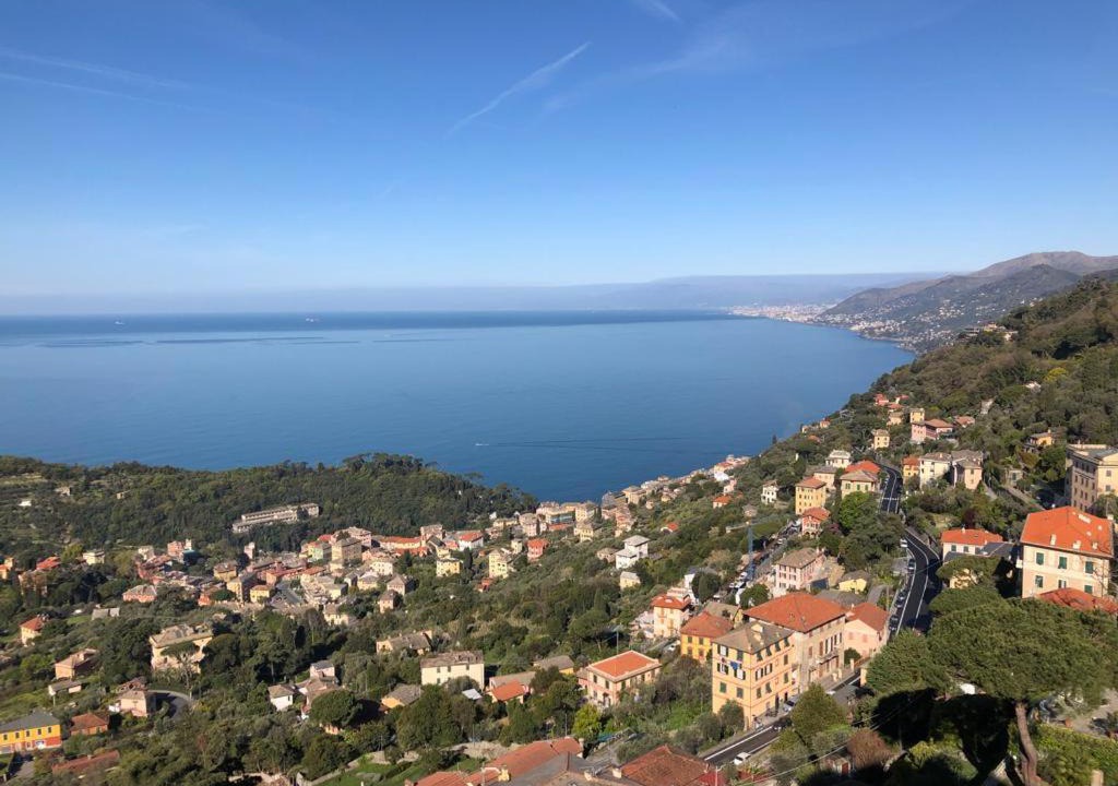 Photo of Others in Recco