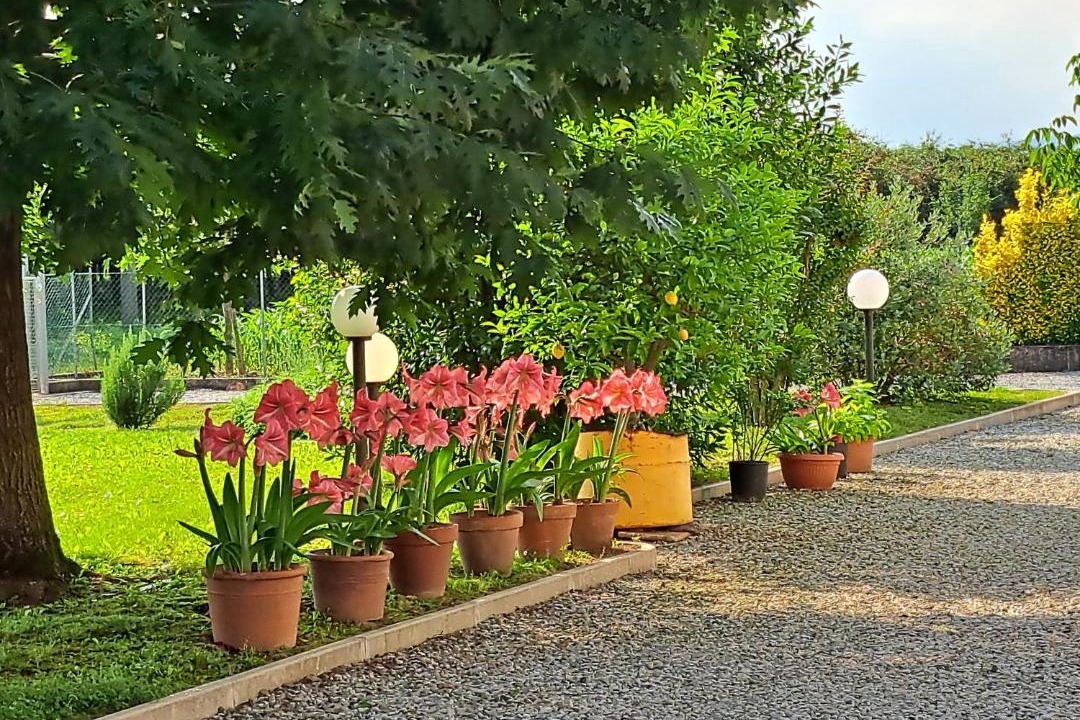 Photo of Others in Ponzano Veneto