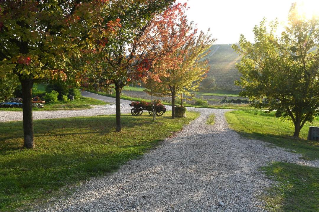 Photo of Others in Coazzolo