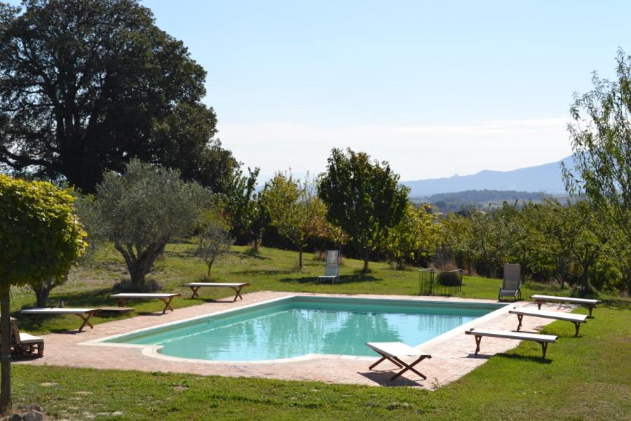 Photo of Others in Montefiascone