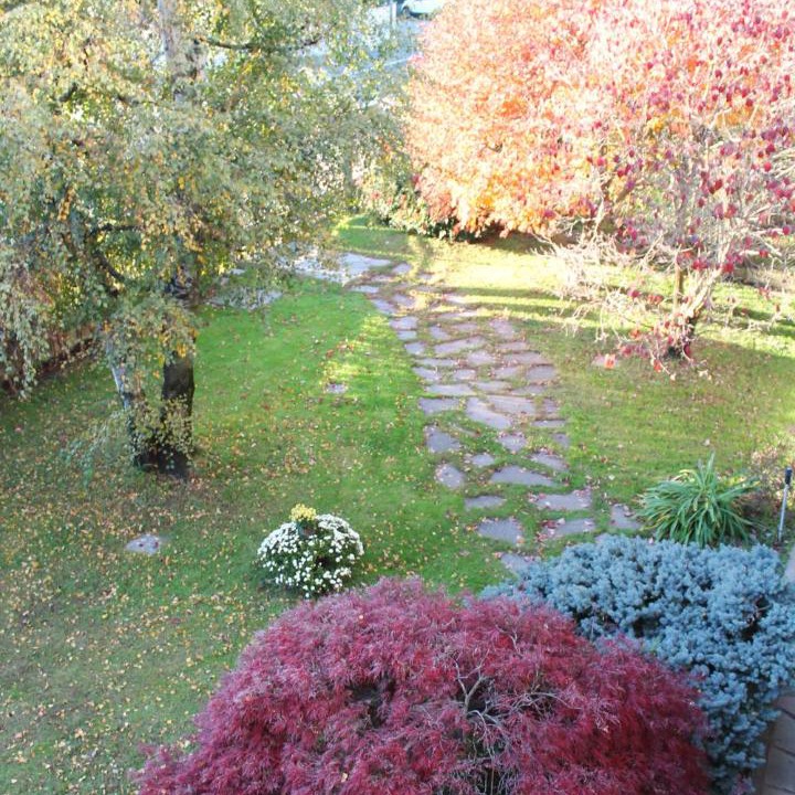 Photo of Outdoor in Caselle Torinese