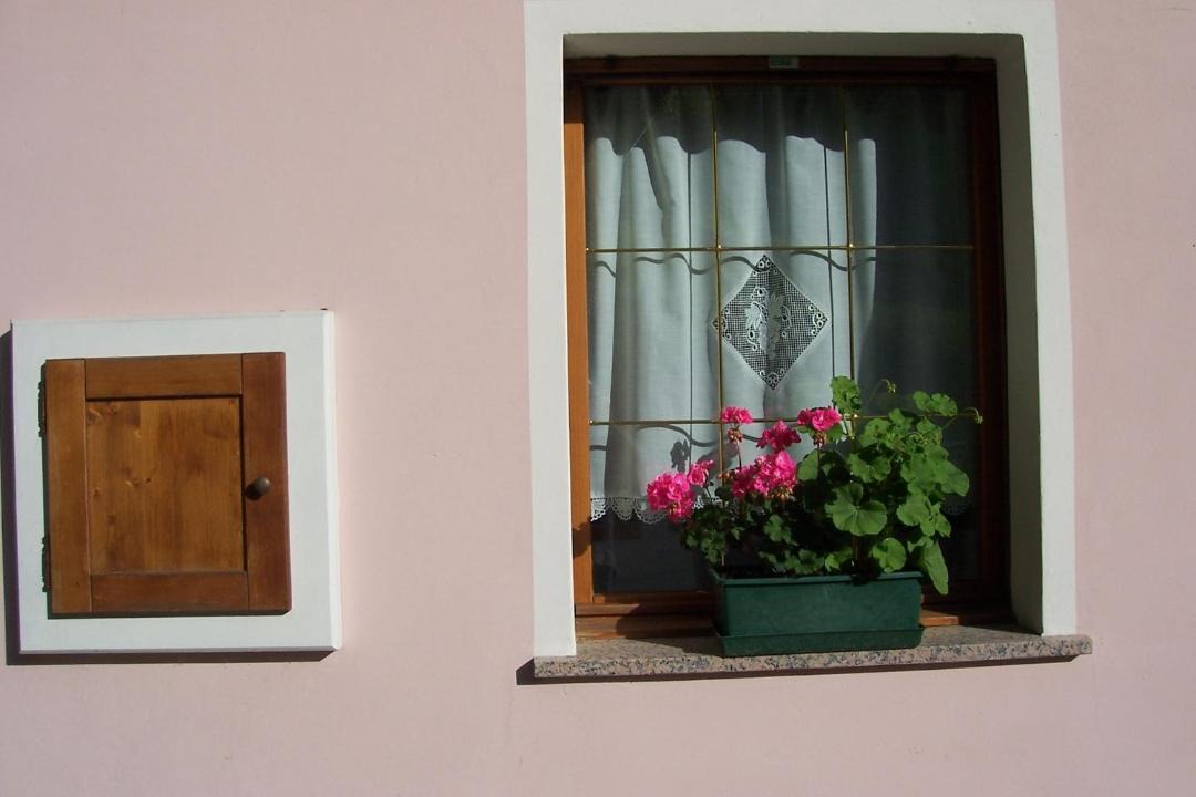 Photo of Others in Lozzo di Cadore