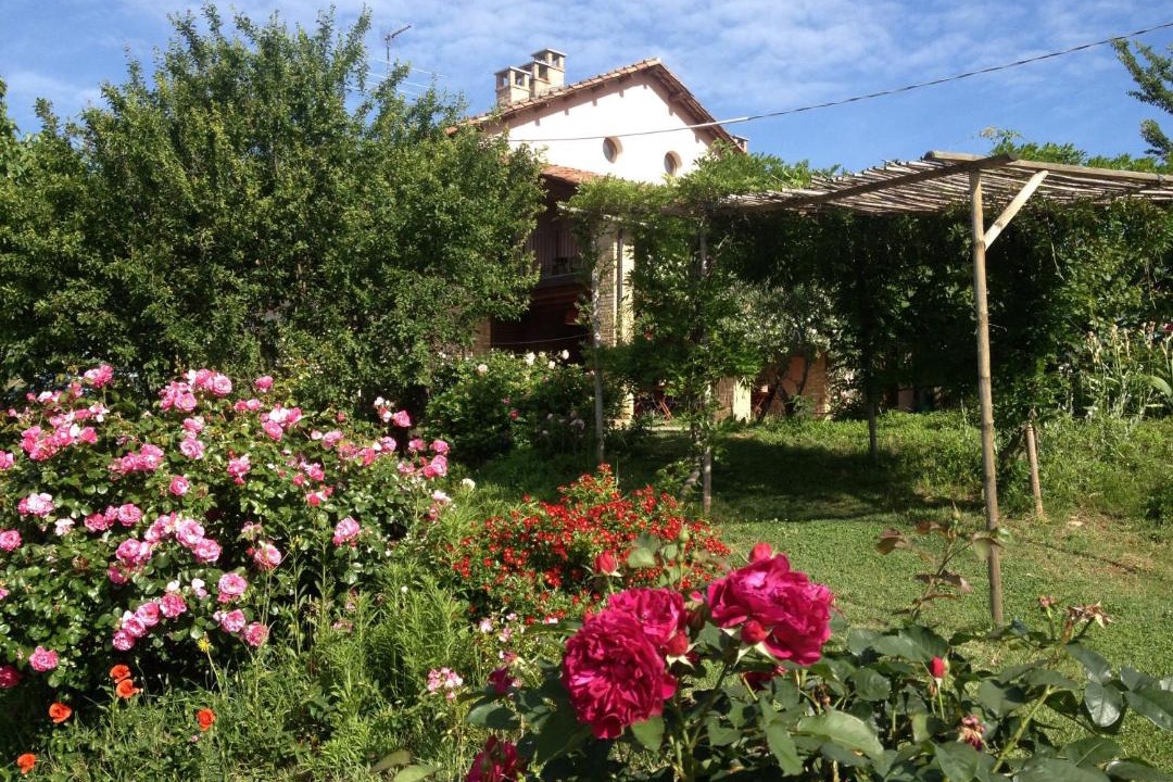 Photo of Others in Vaglio Serra