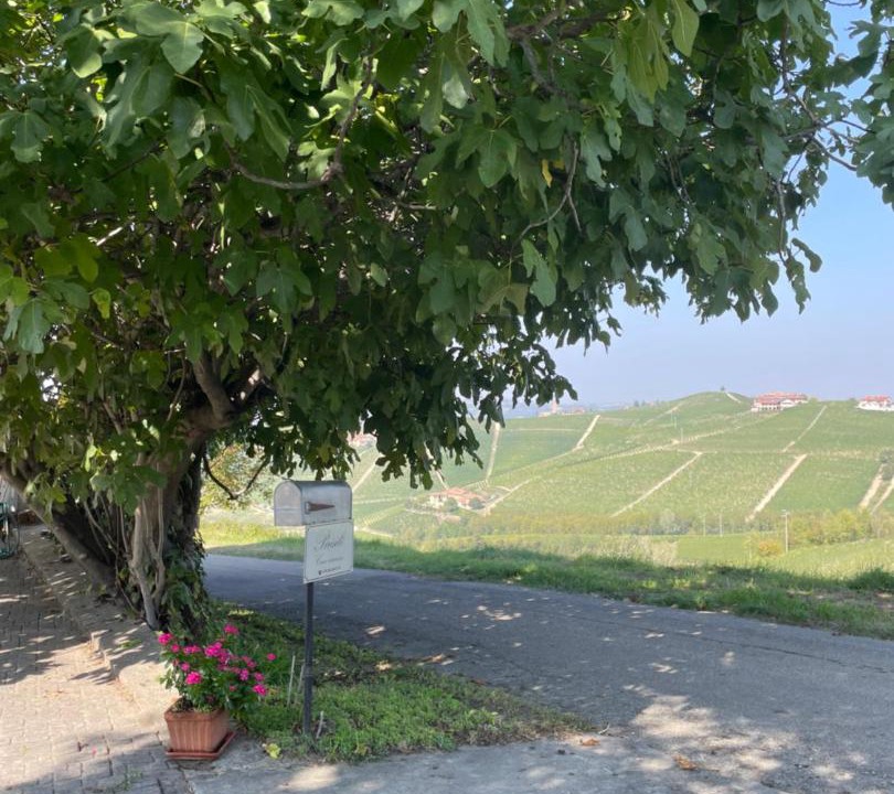 Photo of Others in Barbaresco
