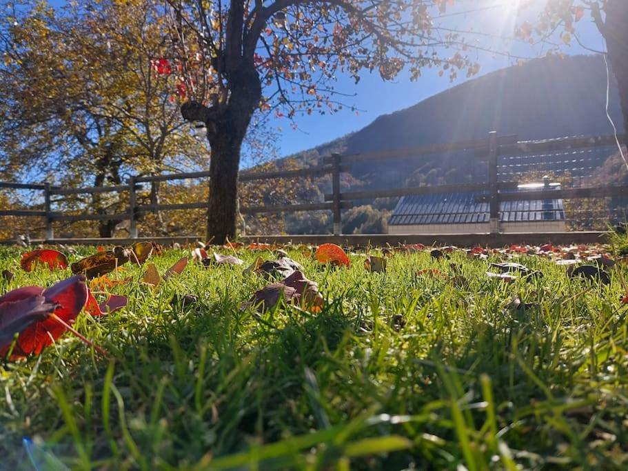 Photo of Outdoor in Alpette