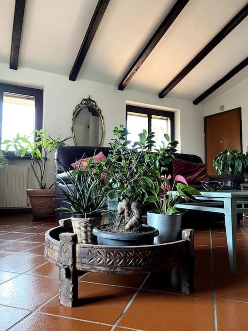 Photo of Livingroom in Rivergaro
