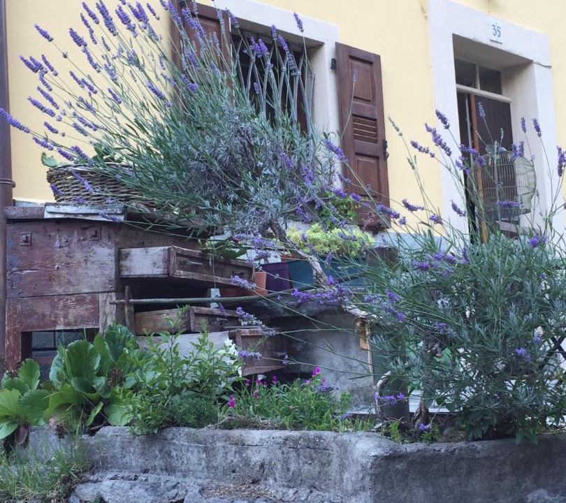 Photo of Others in San Giacomo Filippo