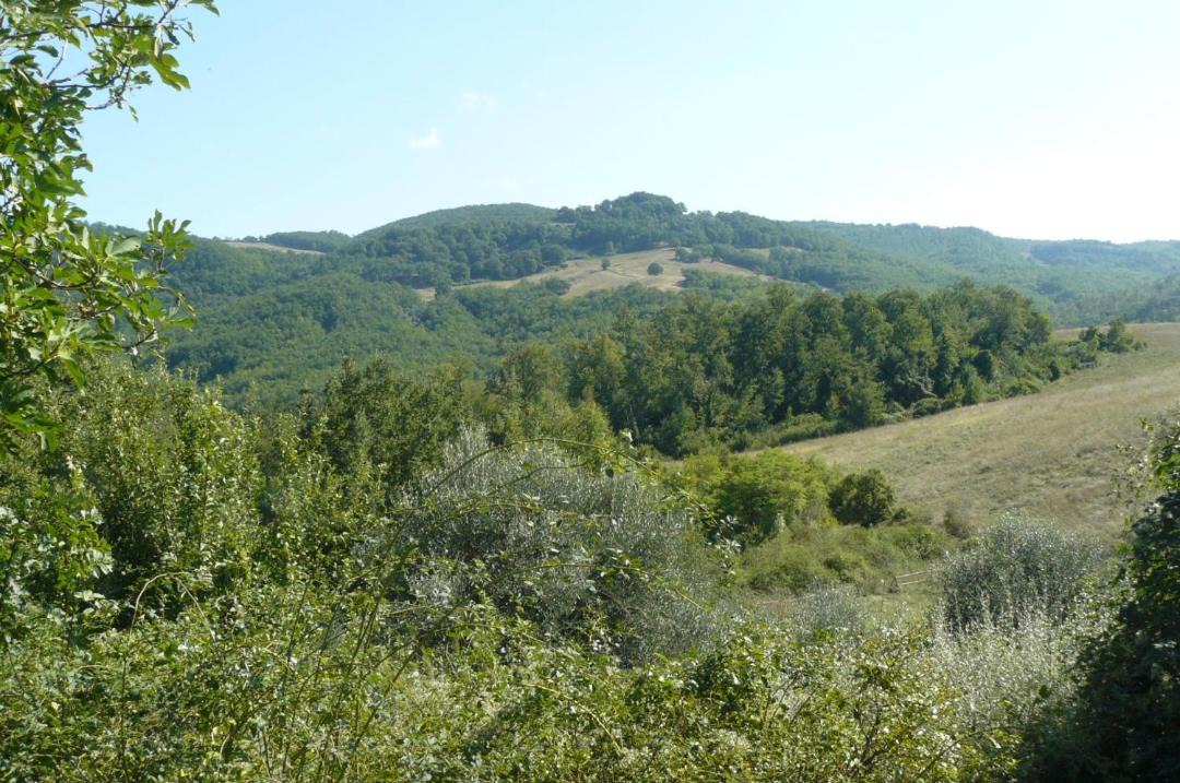 Photo of Others in San Venanzo