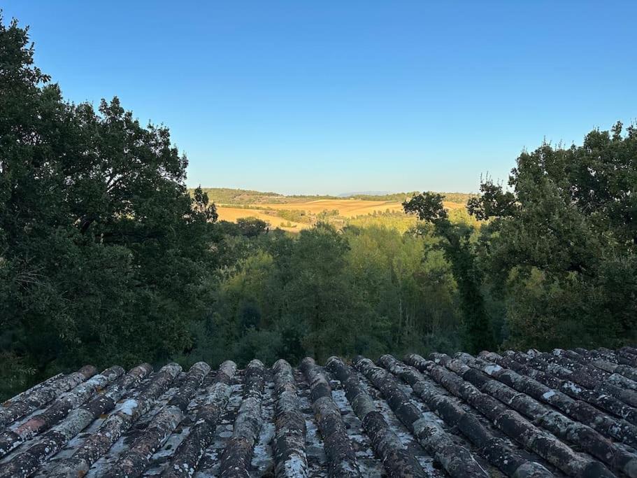 Photo of Outdoor in Teverina di Cortona