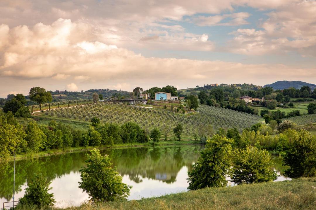 Photo of Others in Castel San Pietro Terme