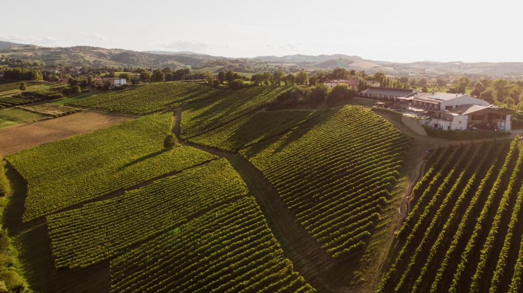 Photo of Others in Castelvetro di Modena