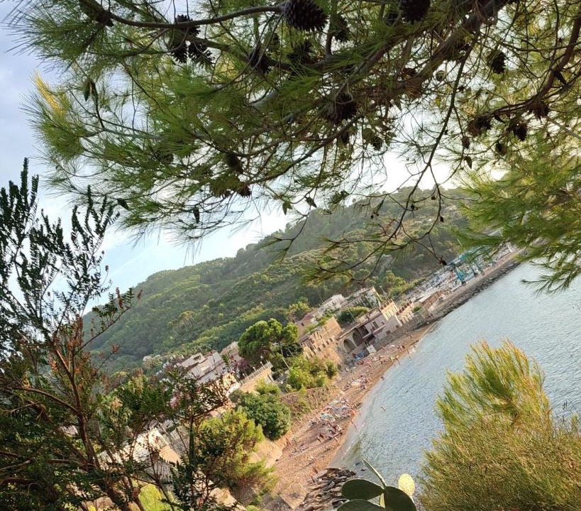 Photo of Others in San Marco di Castellabate