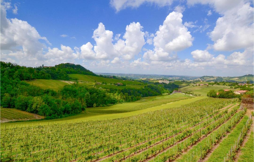 Photo of Outdoor in San Cristoforo