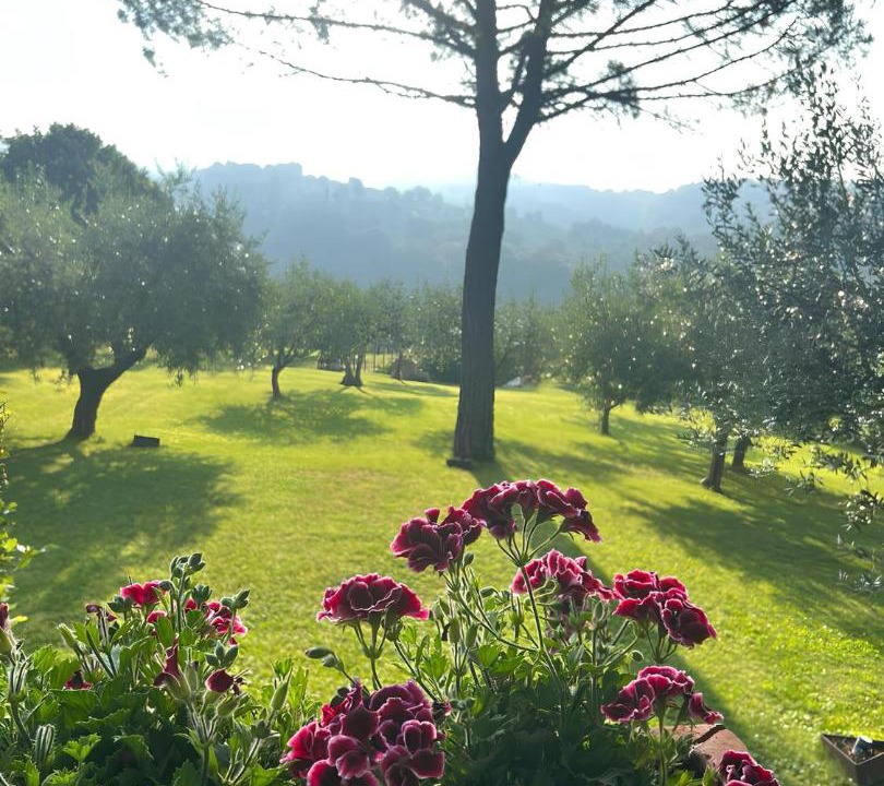 Photo of Others in Assisi