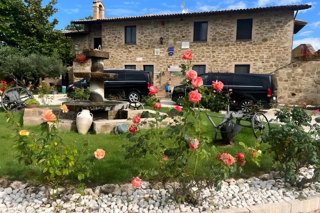 Photo of Others in Assisi