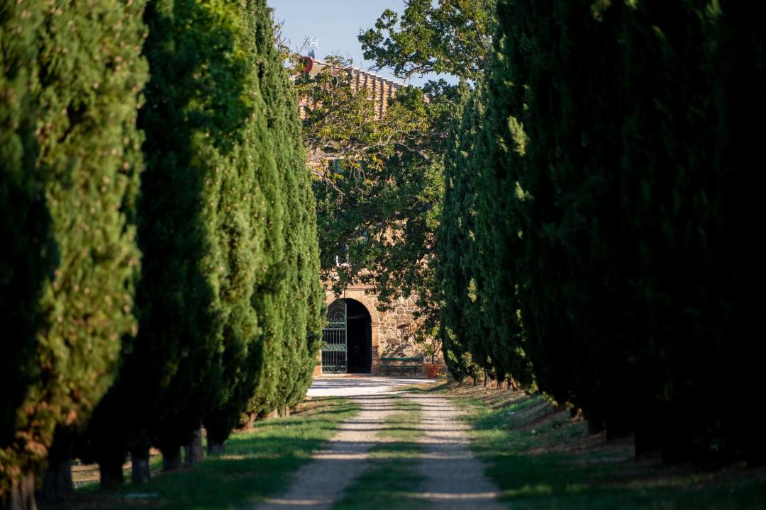 Photo of Others in Montalcino