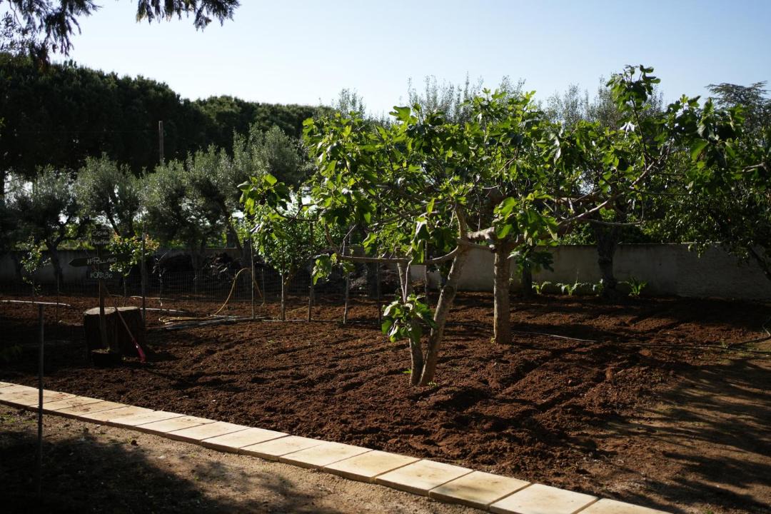 Photo of Others in Francavilla Fontana