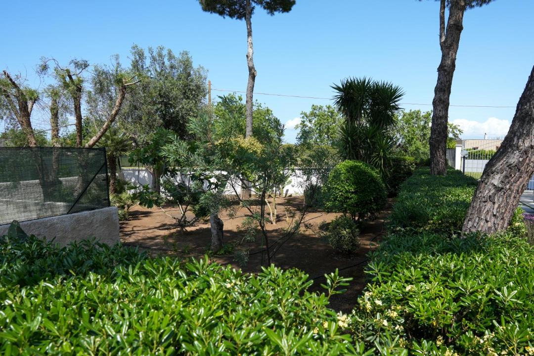 Photo of Others in Francavilla Fontana