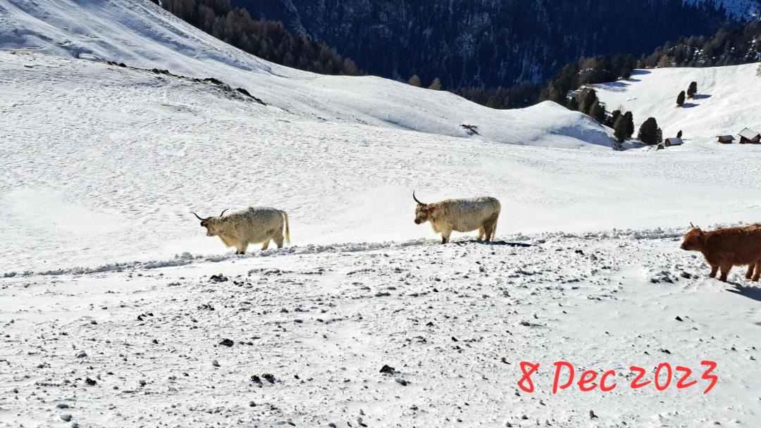 Photo of Others in Sottoguda