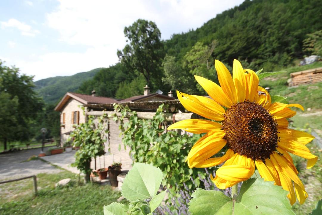 Photo of Others in Groppallo