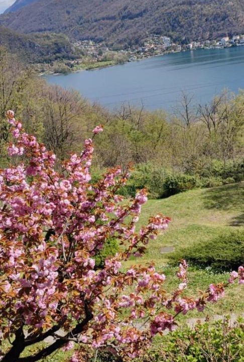 Photo of Outdoor in Brusimpiano