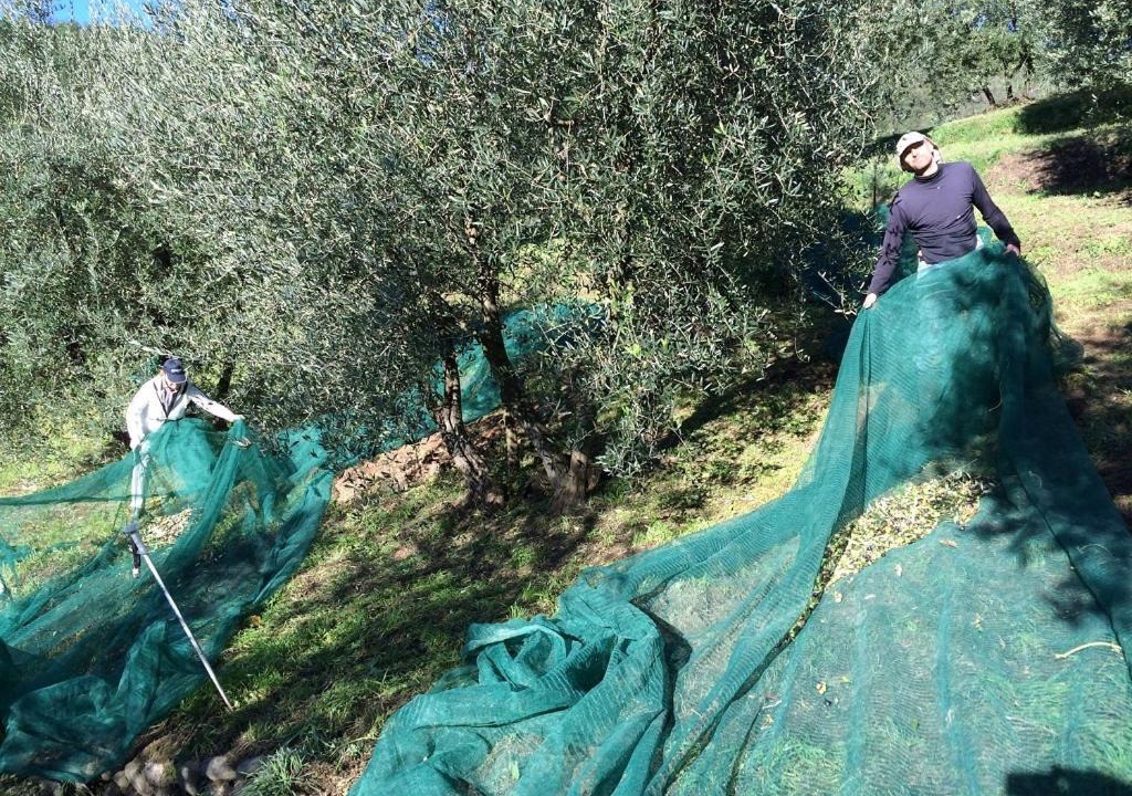 Photo of Others in Pistoia