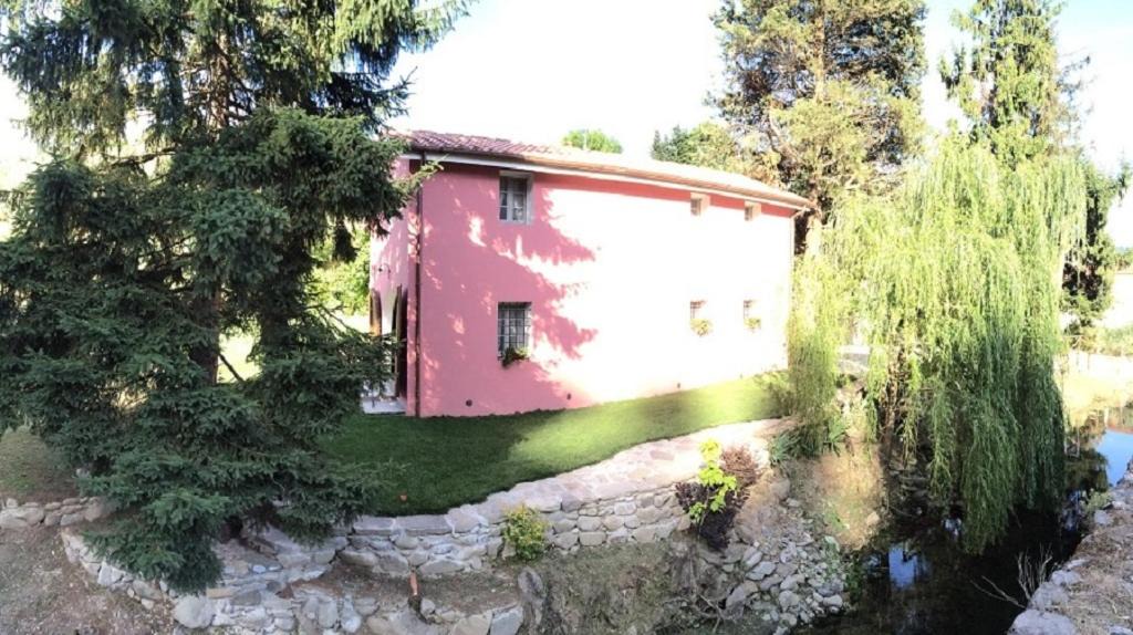 Photo of Others in Pistoia