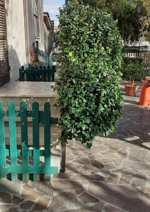 Photo of Others in Civitella in Val di Chiana