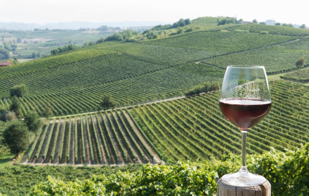 Photo of Others in Nizza Monferrato