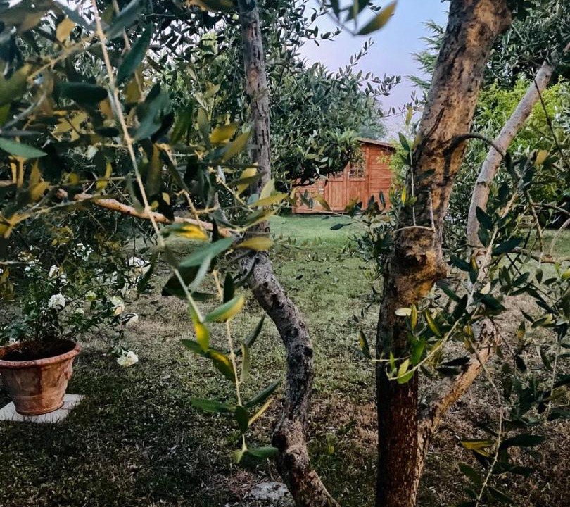 Photo of Others in Panzano in Chianti