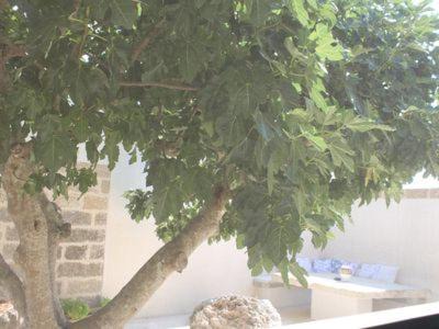 Photo of Others in Andrano