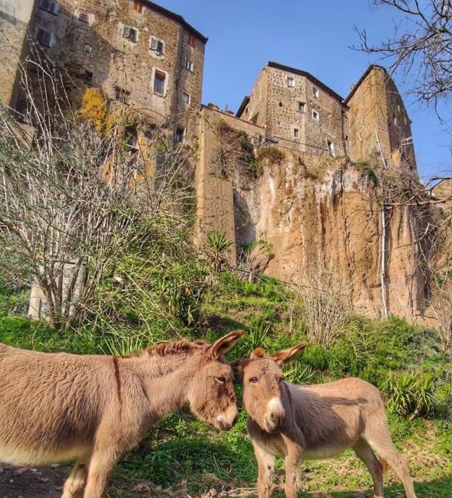 Photo of Others in Corchiano