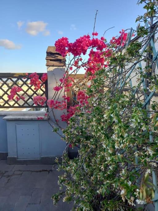 Photo of Patio Balcony in Quartiere XXVIII Monte Sacro Alto
