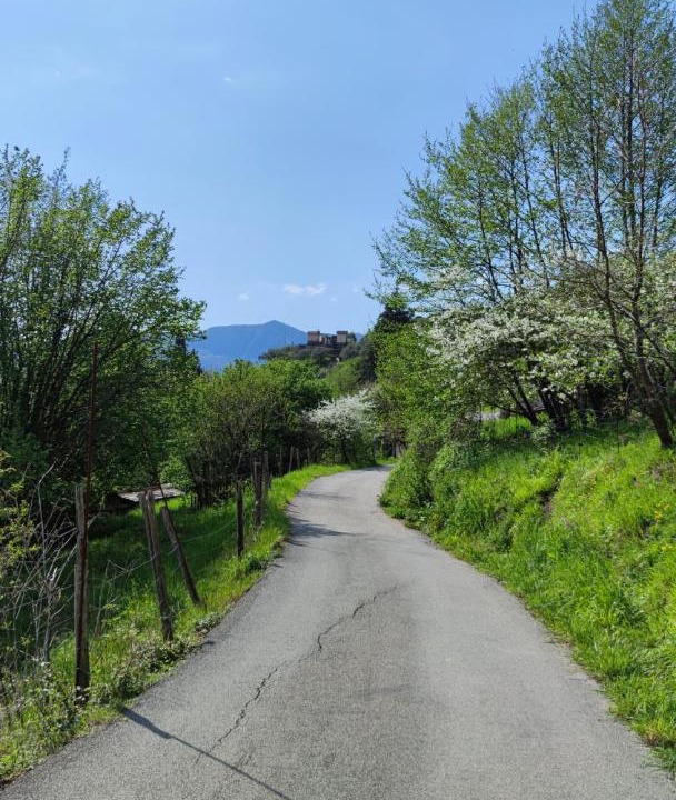 Photo of Others in Borzonasca