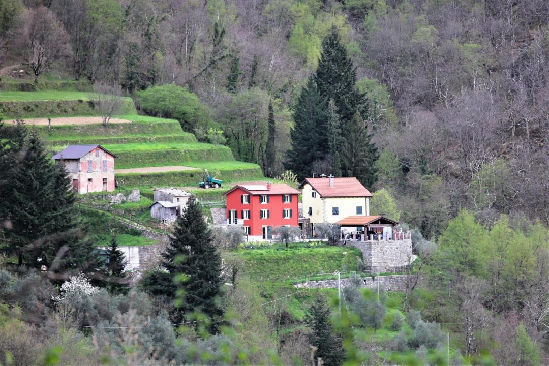 Photo of Others in Borzonasca